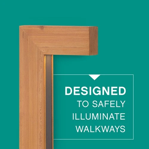 Hinkley Lighting 1518-LL Single Atlantis 12V LED Outdoor - Bronze - Picture 11 of 12