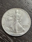 1991 $1 American Silver Eagle Dollars uncirculated Brilliant