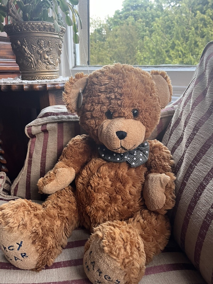 Russ Darcy Bear Cares For You 2nd Edition Rare Tag | eBay UK