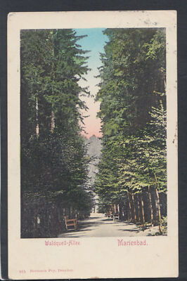 Deutschland AK - Waldquell-Allee - Marienbad T7468