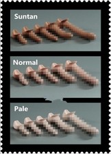 5pcs 1/6 Men's Genitals Penis Model Props For 12"Male Soldier PH TBL Figure Body