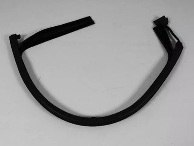 Genuine Mopar Front Door Glass Run Weatherstrip Left 68070049AI