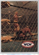 1995 CARDZ WCW Main Event Adversaries Dustin Rhodes Arn Anderson #71 5w0