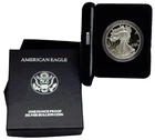2002-W Proof Silver American Eagle - No COA
