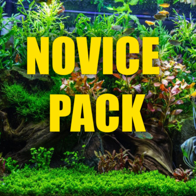 Novice Aquarium plant package easy plants beginner friendly easy starter pack