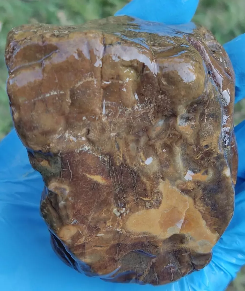 Tennessee Geode Jasper Agate Specimen Mineral Crystal Stone 1lb