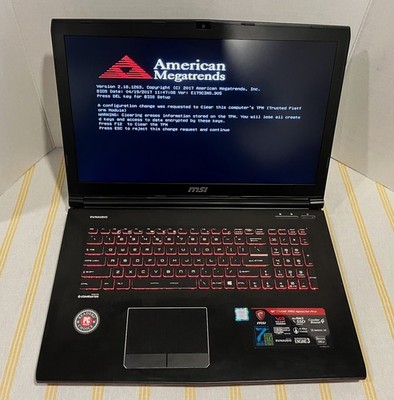 MSI  Apache Pro Gaming Laptop GE72MVR 7RG-NVIDIA GTX 1070- Beautiful Condition!