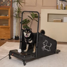 Dog Pacer Treadmill for Medium Sized Dogs Healthy & Fit Pets Run Walk