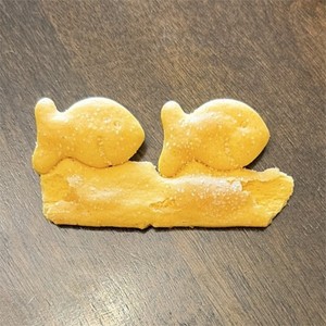 Goldfish swimming in goldfish sea          ULTRA RARE 