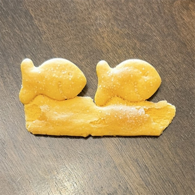 Goldfish swimming in goldfish sea          ULTRA RARE 