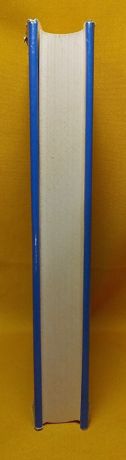 Picture 9 of 11