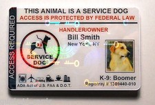 HOLOGRAM SERVICE DOG / PET ID CARD BADGE FOR SERVICE ANIMAL PROFESSIONAL TAG 10