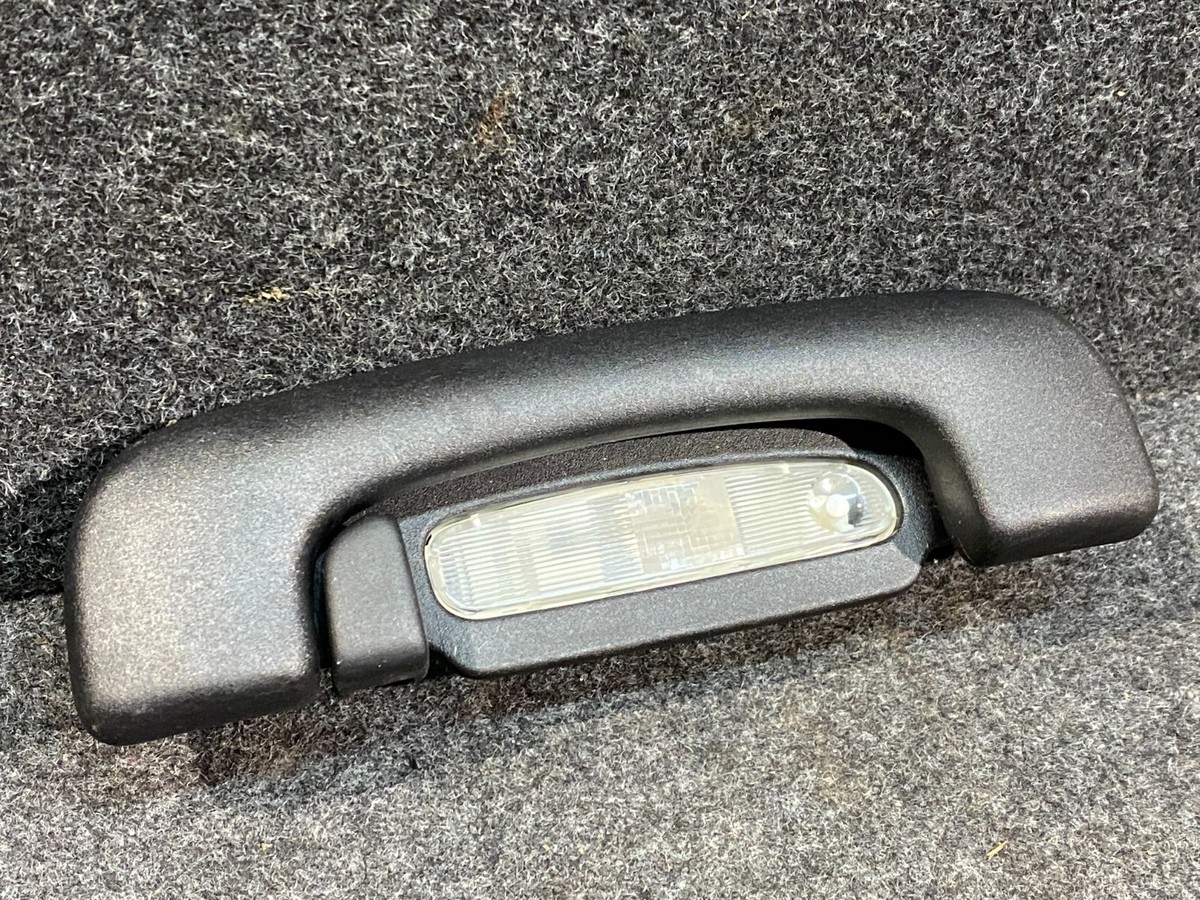 2015 - 2021 Dodge CHARGER OEM ROOF HANDLE LEFT REAR 1RV81TRMAB | eBay