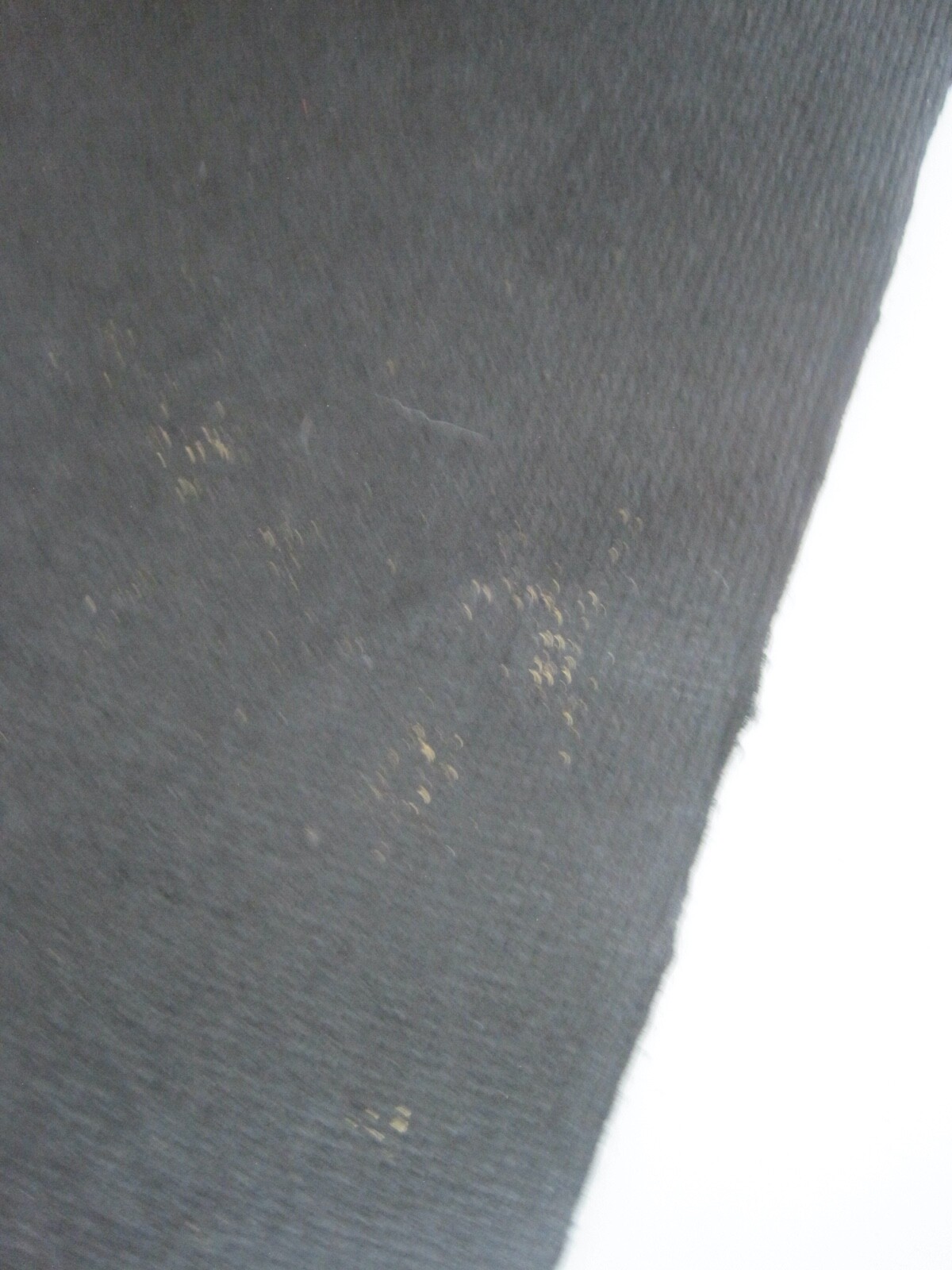 Burmese Burma Art Paper Gold Ink On Black 21.5" x 31"