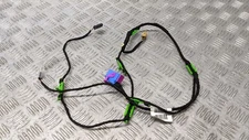 AUDI A6 TDI SE TDV 2005 DOOR HARNESS (N/S/F)  4F1971036
