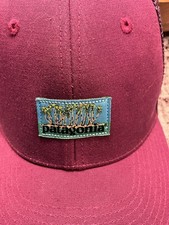 Patagonia Trucker Hat Cap Youth Purple Snapback Palm Trees Logo Mesh Outdoors