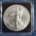 U.S. Mint 2022 American Silver Eagle 1 oz .999 Silver Coin in Protective Case