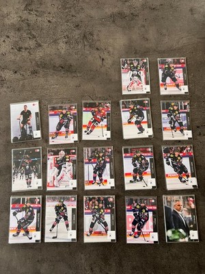DEL Trading Cards Eisbären Berlin Playercards Eishockey Top Zustand 2025-2026