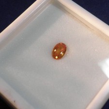 Golden Spessartite GARNET Loose Genuine 0.60ct 6x4mm Oval 100 Natural G9909