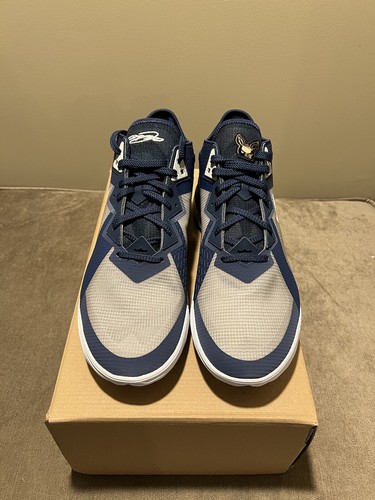 lebron 12 akron pe