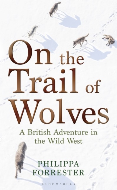 On the Trail of Wolves by Philippa Forrester (Paperback Book)