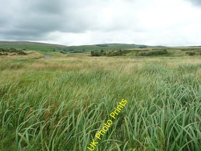 Foto 6x4 A Nassbereich, Old Newby Green Schließen\/SD7269 A Stream is hidden am c2016