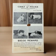 1905 San Francisco Police Reward Poster Postcard Dog Lost Setter Geo W Wittman
