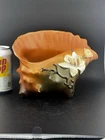 Roseville Art Pottery Brown Magnolia Conch Shell # 454-8 In Excellent Mint Cond