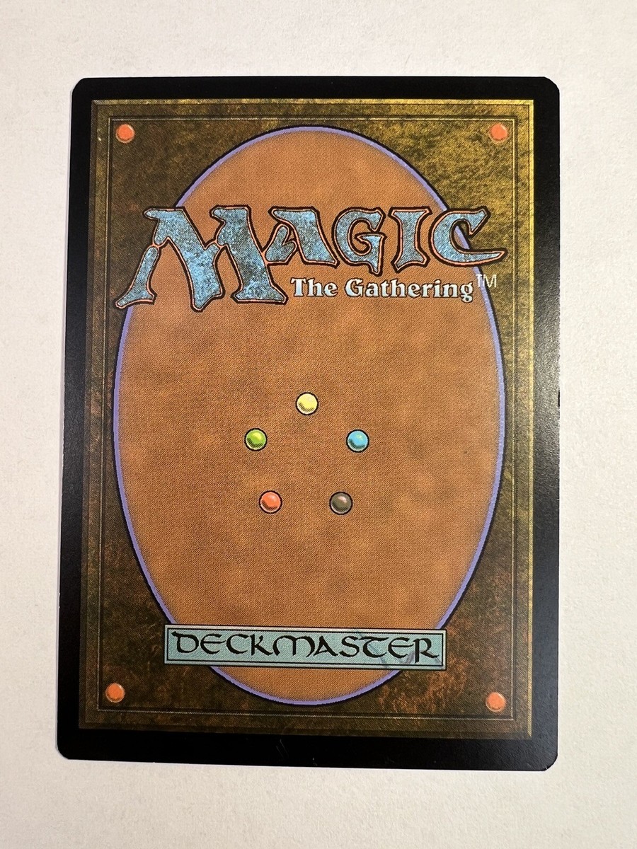 MTG 新枠のみ 基本土地 基本地形 英語約300枚 ZEN ALA CHK等有 MTG 新