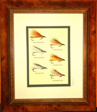 6 Framed and Mounted Trout Streamers