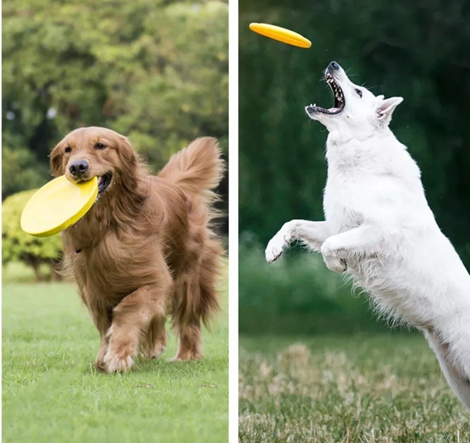 Disco volador suave grande para perros - Disco volador flexible duradero para divertirse buscando y masticando Foto 4 de 4