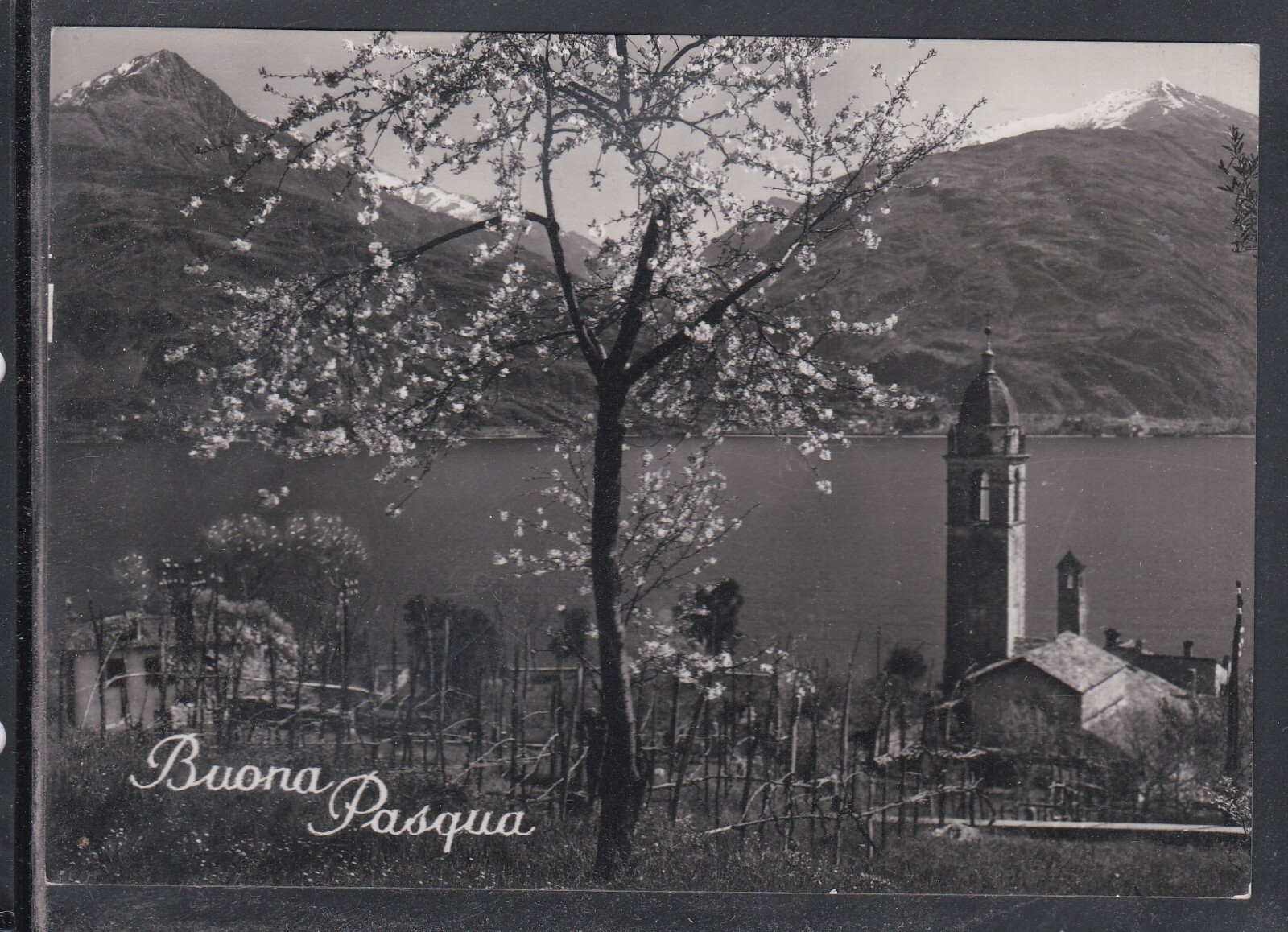 Cartolina Buona Pasqua Paesaggio ZB1042