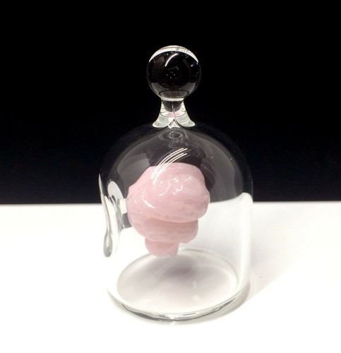 Kiva Ford Miniature Anatomy Brain In A Jar 1.5" Hand Blown Glass Borosilicate - Picture 3 of 9