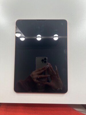 Apple iPad Air (4th Generation) A2316 256 GB, Wi-Fi + 4G, 10.9 in