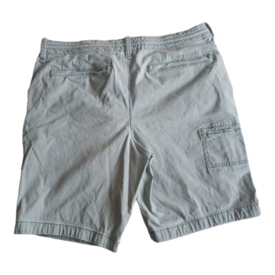 Hollister Classic Fit Pale Green Mens Shorts 32