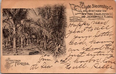 Clyde Steamship Co Greetings From Florida c1905 UDB Vintage Postcard E64
