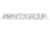 Prasco Halter, StoßFäNger Vorne Links PG9131014