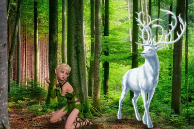 Rice Paper for Decoupage Scrapbook Craft Magician Elf Gnome White Deer 904