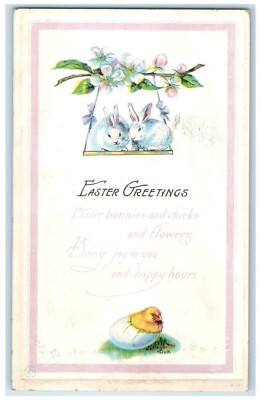 Easter Greetings Hatched Egg Rabbit Flowers Embossed San Francisco CA Postcard