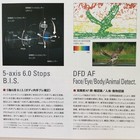 Bild 7 von 11