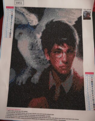 Harry Potter 5d diamond art poster portrait complete gift Daniel Radcliffe 