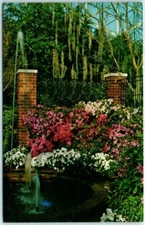 The Azalea Display - Mitchell Park Horticultural Conservatory - Milwaukee, WI