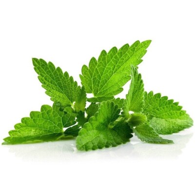 Aroma Menthol 30 / 50 / 100 ml  - Made in Germany!