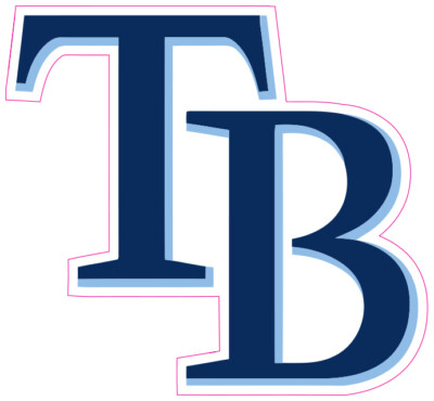 (NOT A PATCH) Tampa Bay Rays Baseball HTV Heat Press Transfer Vinyl Iron On