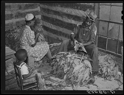 Carr North Carolina 1939 Compton sharecropper wife stripping grading tobacco