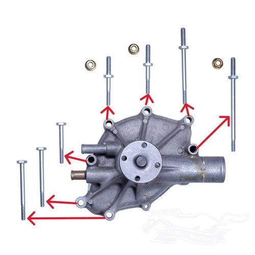 79-93 Fox Body Mustang 5.0 302 351 Water Pump Bolt Mounting Kit - E2ZZ-8501-BK