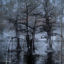 Nansemond by Nathan Bowles [Audio CD]