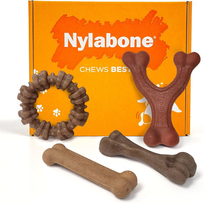 Nylabone Strong Chew Dog Toy 4-Pack Made with Real Bacon, Bison, Venison, Beef,
