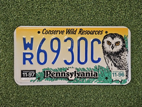 Pennsylvania Conserve Wild Resources Owl License Plate WR6930C