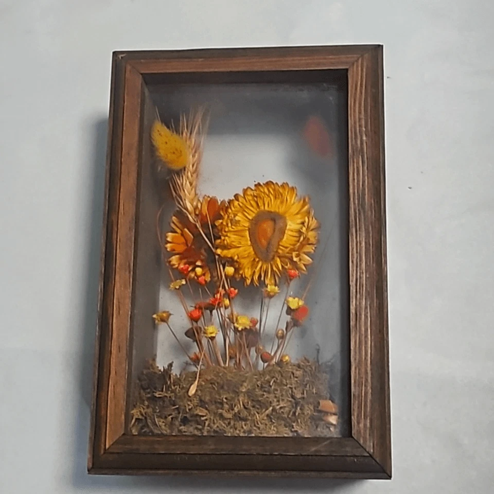 Caja de sombra vintage MCM 60s flor silvestre seca enmarcada arte único en su clase Foto 4 de 4